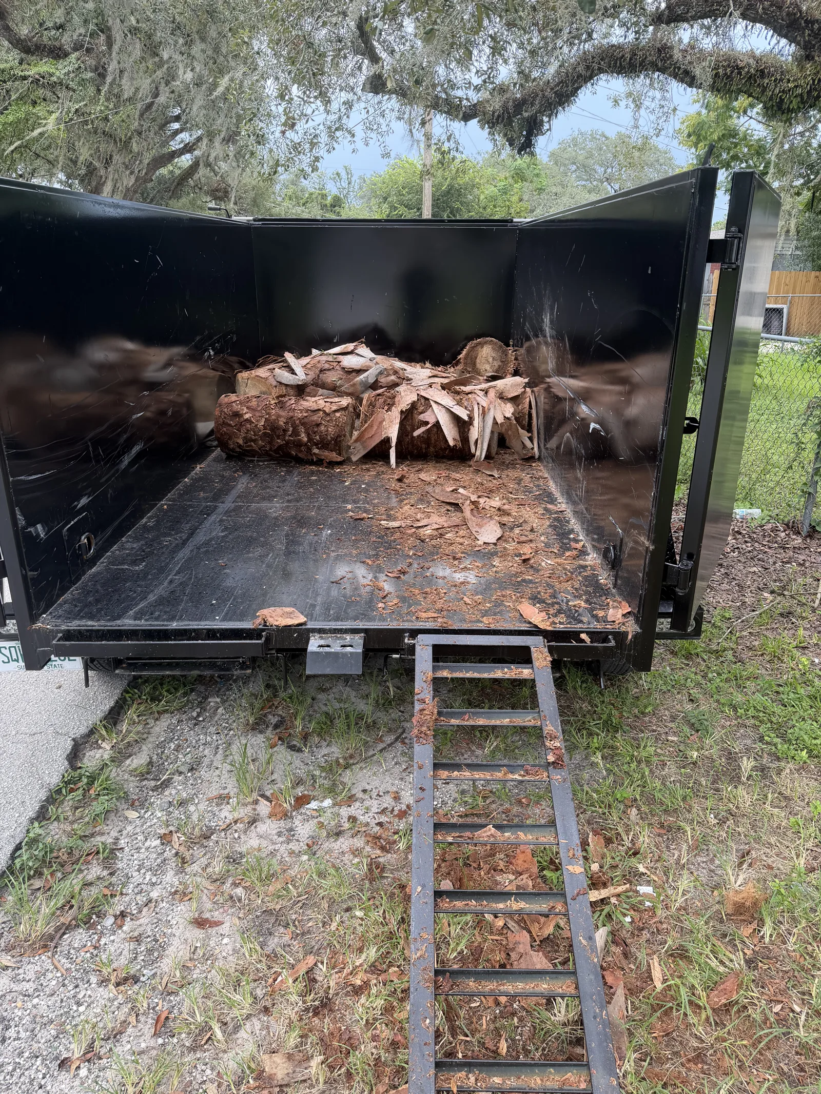 Yard Cleanup
